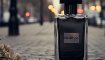 Qual o perfume masculino mais marcante do mundo em 2024?